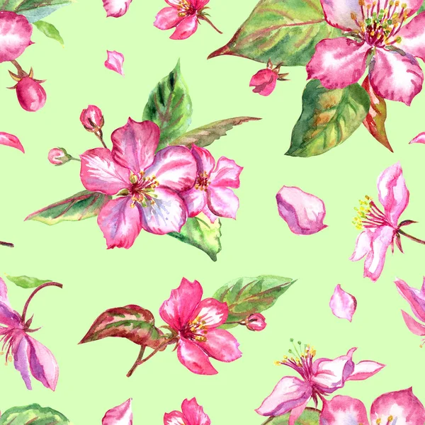 Seamless pattern of pink apple flowers on a pale green background, watercolor drawing, floral print for fabric, paper and other designs.