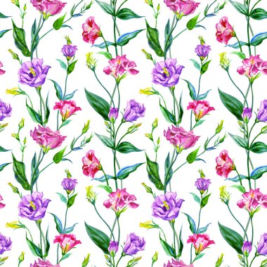 Beyaz arkaplan, suluboya resimleme, çeşitli tasarımlar için arkaplan, kumaş, kağıt, vb..