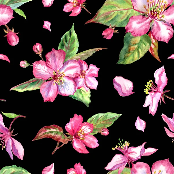 Patrón Sin Costura Flores Rosadas Manzano Sobre Fondo Negro Ilustración — Foto de Stock