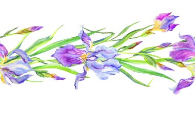 Mor ve sarı irislerin kusursuz sınırı, el çizimi, kumaş baskısı, çeşitli tasarımlar için çiçek arkaplanı.