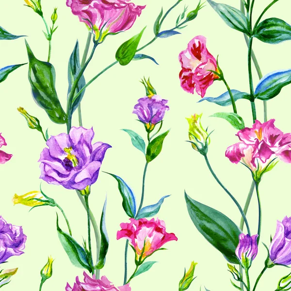 Безшовний Візерунок Весняних Квітів Еустоми Блідо Зеленому Тлі Акварельний Принт — стокове фото