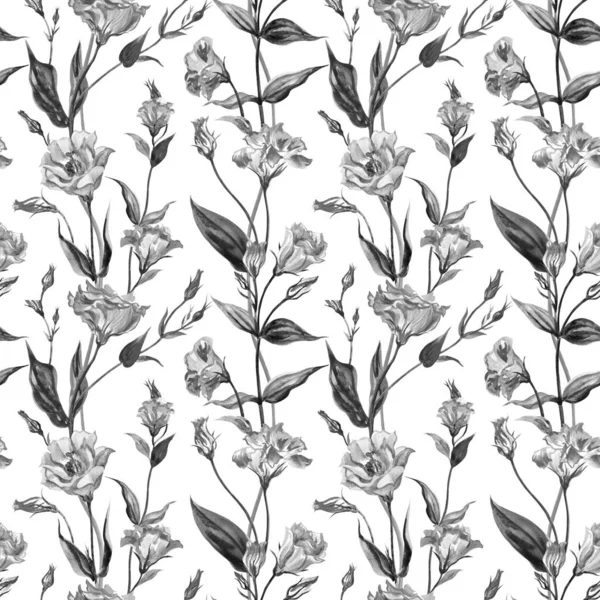 Seamless Pattern Spring Eustoma Flowers Lisianthus Black White Watercolor Print — Stock Photo, Image