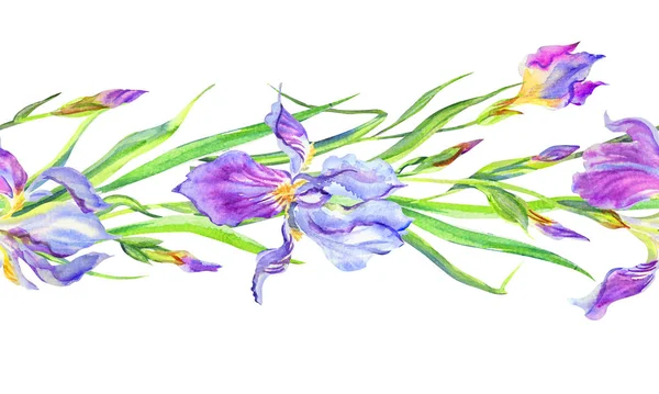 Bordo Senza Cuciture Iris Viola Giallo Disegno Mano Stampa Tessuto — Foto Stock