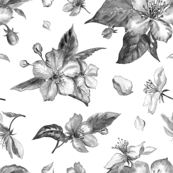 Απρόσκοπτη Μοτίβο Από Λουλούδια Μήλου Μαύρο Και Άσπρο Λευκό Φόντο — Φωτογραφία Αρχείου