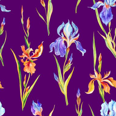 Koyu mor arka planda kusursuz mor ve sarı süsen desenleri kumaş ve diğer tasarımlar için çiçekli suluboya izleri..