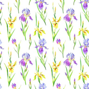 Beyaz arka planda kusursuz mor ve sarı süsen deseni kumaş ve diğer tasarımlar için çiçekli suluboya deseni..