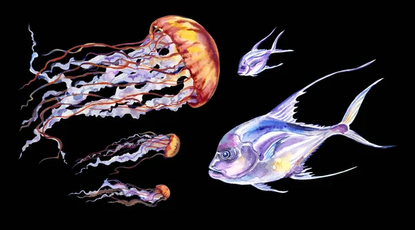 クラゲ ネットワーク Crysora Fuscscens と魚のダイヤモンドカランクス水彩画 黒の背景に隔離された 海洋生物のセット — ストック写真