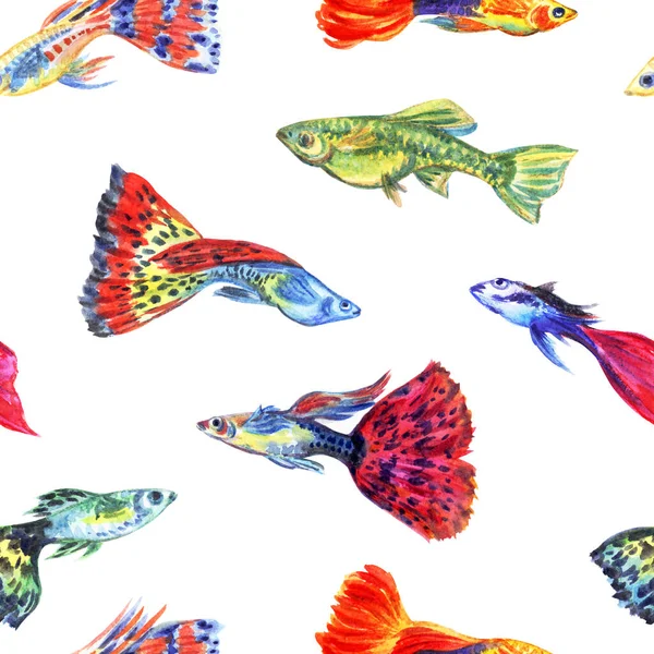 Guppy Aquarium Vissen Naadloos Patroon Witte Achtergrond Aquarel Illustratie Print — Stockfoto