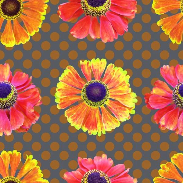 Helenium Zomer Bloemen Naadloos Patroon Polka Dot Achtergrond Print Voor — Stockfoto