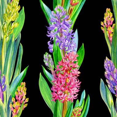 Siyah bir zemin üzerinde paralel çizgiler şeklinde kusursuz sümbül deseni, suluboya çizimleri, kumaş ve diğer tasarımlar için çiçek deseni.