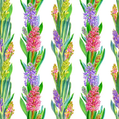 Beyaz zemin üzerinde paralel çizgiler şeklinde kusursuz sümbül deseni, suluboya çizimleri, kumaş ve diğer tasarımlar için çiçek deseni.