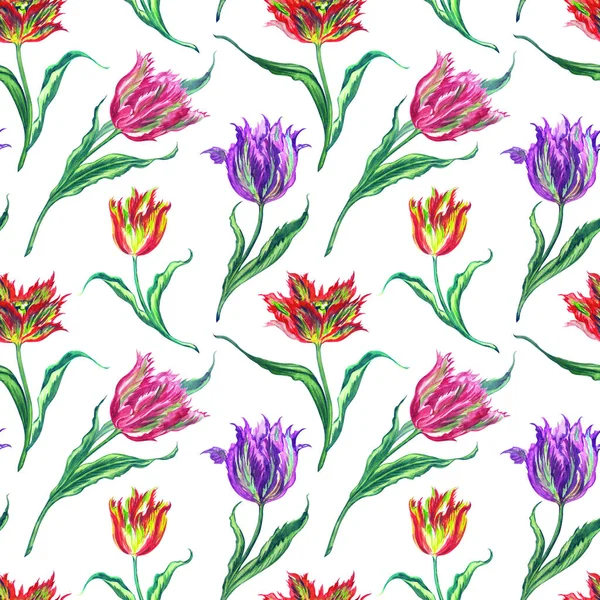 Seamless pattern of multicolored tulips on a white background, watercolor illustration. Floral print for fabric and various designs.