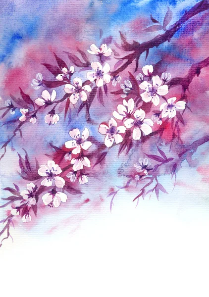 Blommande Grenar Körsbär Rjan Ren Akvarell Illustration Vertikala Blomsterarrangemang — Stockfoto