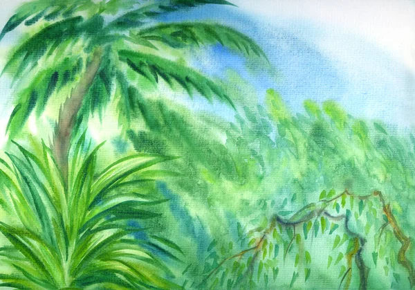 Paysage Jungle Aquarelle Peinture Abstraite Impression Pour Affiche Fond Pour — Photo