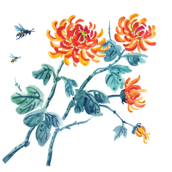 Chrysanthemen Und Bienen Aquarell Illustration Auf Weißem Hintergrund Chinesischen Orientalischen — Stockfoto