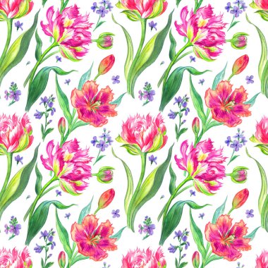 Beyaz bir zemin üzerinde pürüzsüz laleler, suluboya çizimler, çeşitli tasarımlar için çiçek arkaplanı, kumaş baskısı