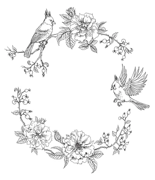 Cadre Oiseaux Cardinaux Roses Grimpantes Contour Dessin Noir Blanc Peut — Image vectorielle