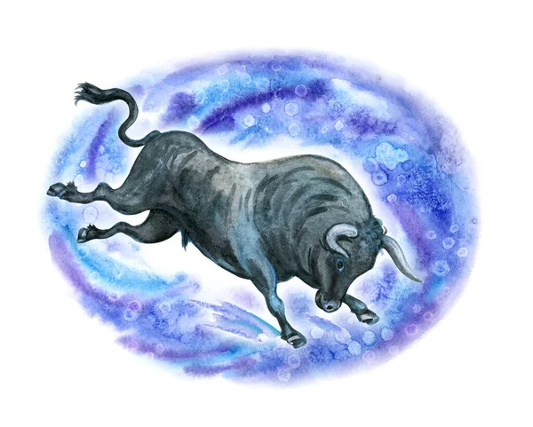 Running bull in a frame of snow splashes, New Year card, watercolor illustration on a white background. The eastern horoscope, the symbol of the year is the bull.