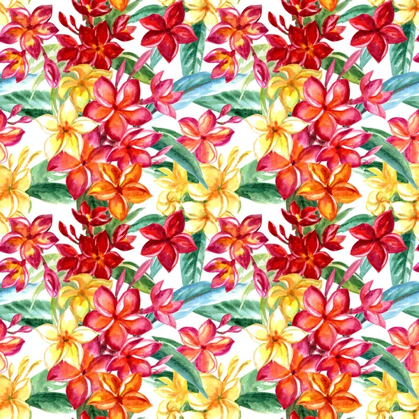 Plumeria Frangipani Modello Senza Cuciture Sfondo Bianco Illustrazione Acquerello Luminosa — Foto Stock