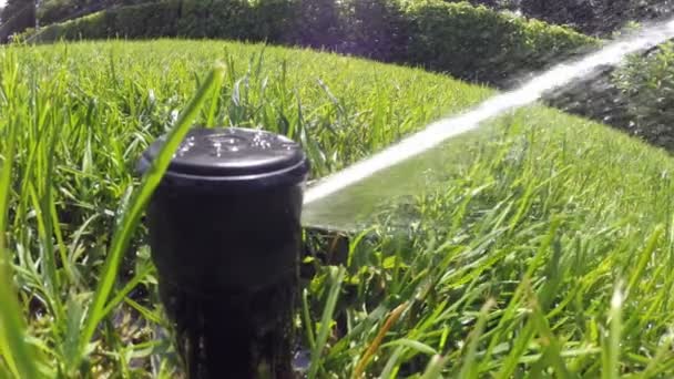 Arrosage automatique de la pelouse gros plan — Video