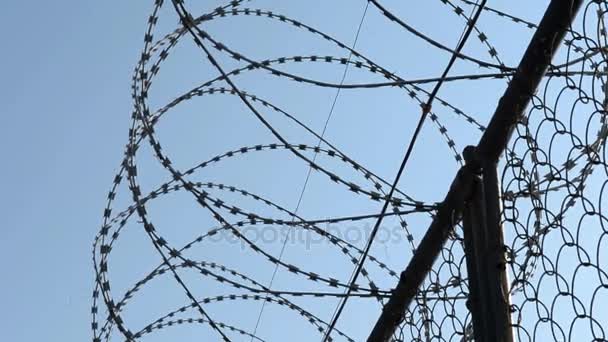 Φράχτη στη φυλακή της δύναμης της κράτησης. Εσωτερική φυλακή κλασικό τοπίο. Ρωσία — Αρχείο Βίντεο