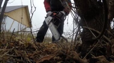 Testere ile bir adam kendi arsa üzerinde küçük ağaçlar ortadan kaldırır. Köy, sonbahar. 