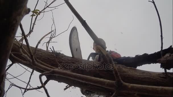 En man med en motorsåg eliminerar små träd på egen tomt. Byn, höst. — Stockvideo