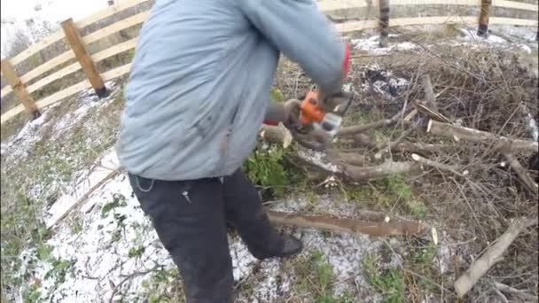 チェーンソーを持った男は、独自のプロットに小さな木を排除します。里の秋. — ストック動画