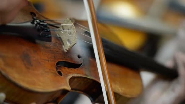Παίξτε το close-up βιολί — Αρχείο Βίντεο