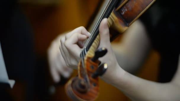 Tocar violino close-up — Vídeo de Stock