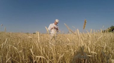 Bir adam bir buğday alanı üzerinde bir kırpma denetler