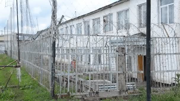 En la cárcel. Movimiento de presos en el área penitenciaria — Vídeos de Stock