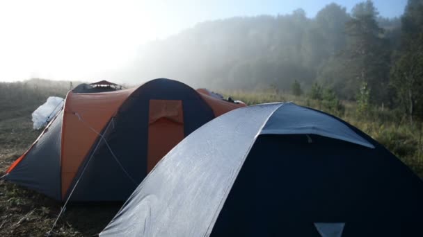 Tourist Tents Morning Forest Glade Summer — Stock Video