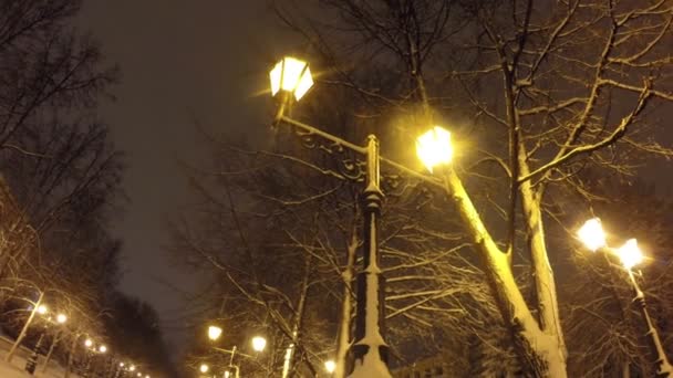 Parque Ciudad Invierno Por Noche — Vídeos de Stock