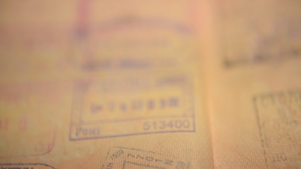 Паспорт Пограничный Контроль Пограничный Контроль Европа Шенген Визы Эмиграция Туризм — стоковое видео