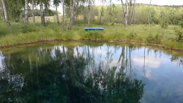 Lago Floresta Reflexão Água Árvores — Vídeo de Stock