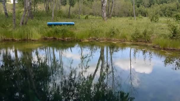 Озеро Ліс Відображення Вода Дерева — стокове відео