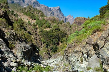 La Palma ana canyon aracılığıyla doğa yürüyüşü