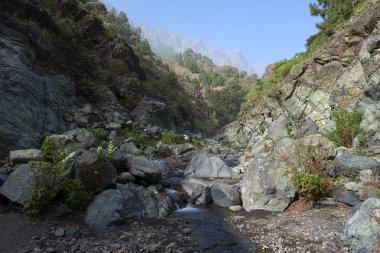  La Palma üzerinde geçit fotoğraf