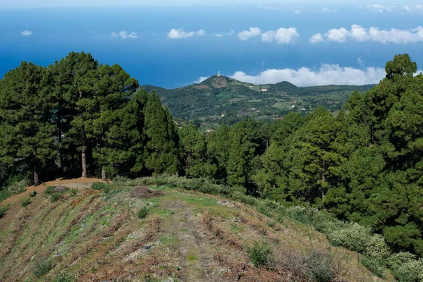 Escalando las montañas de La Palma —  Fotos de Stock