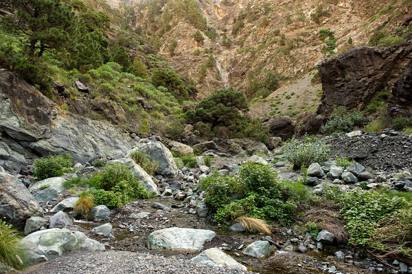 Trekking through the main canyon of La Palma
