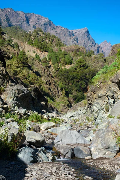 徒步旅行通过主要的峡谷的拉帕尔马 — 图库照片