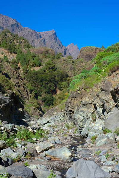 Trekking through the main canyon of La Palma