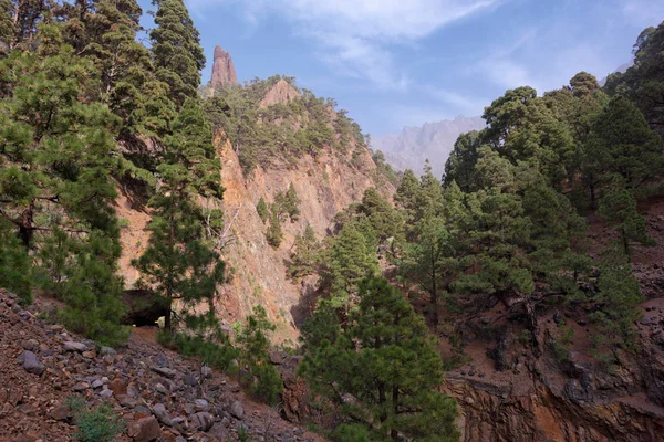 Photo in the gorge on La Palma — Stock Photo, Image