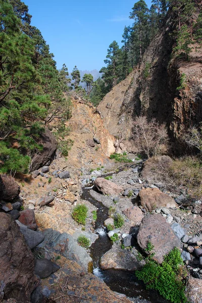 ラ ・ パルマ島の峡谷の写真 — ストック写真