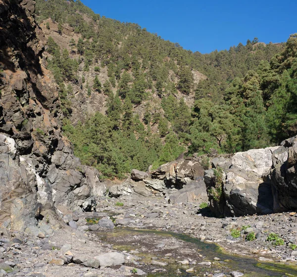 Photo in the gorge on La Palma — Stock Photo, Image