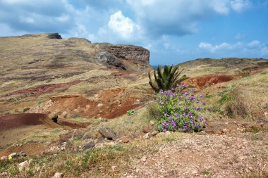 şaşırtıcı cape lourenco