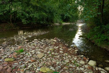  Yeni Kuban açık alanlar