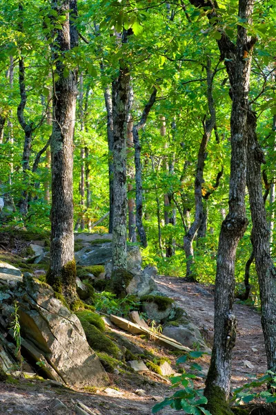 Нові Кубань відкритих просторів — стокове фото