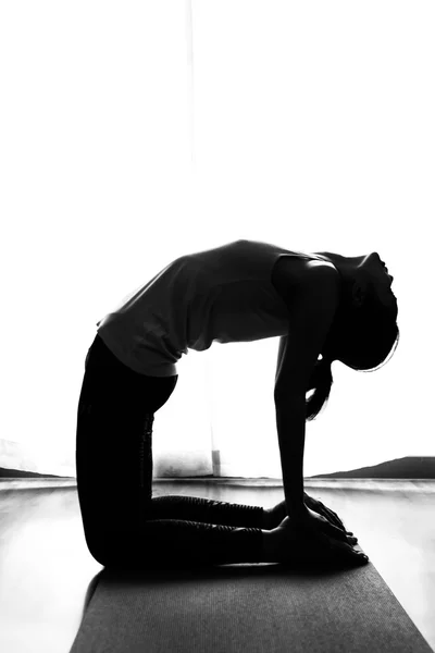 Schwarz-weiße Silhouette Yoga-Frau in Kamelpose — Stockfoto